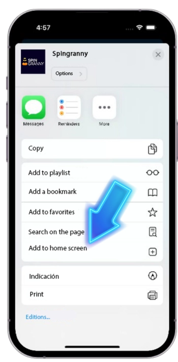 Add to Home Screen option in Safari Share menu for Spin Granny