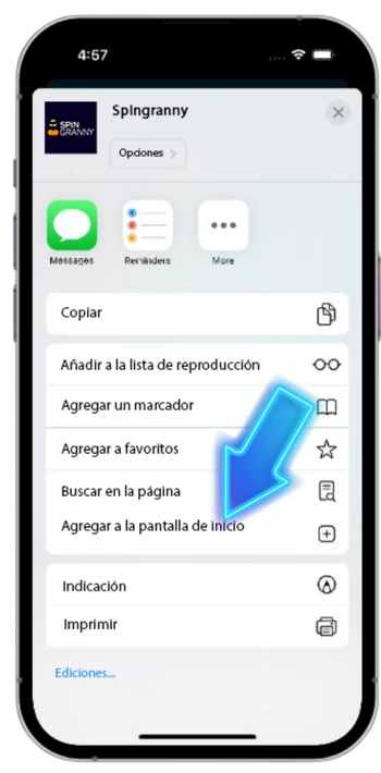 Opción Añadir a pantalla de inicio en el menú Compartir de Safari para Spin Granny